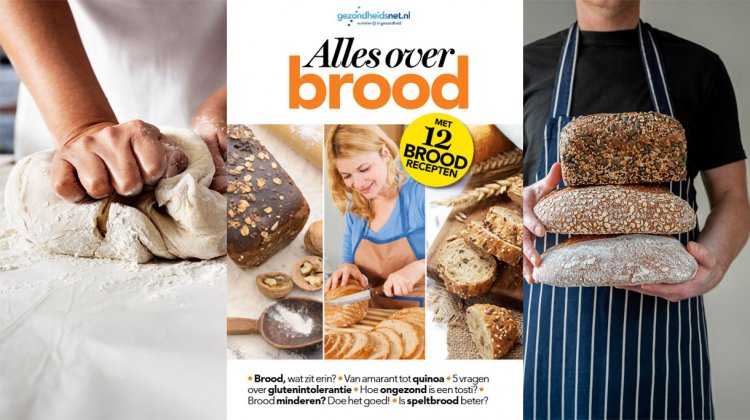 Brood magazine