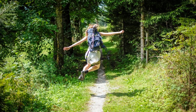 blij in het bos