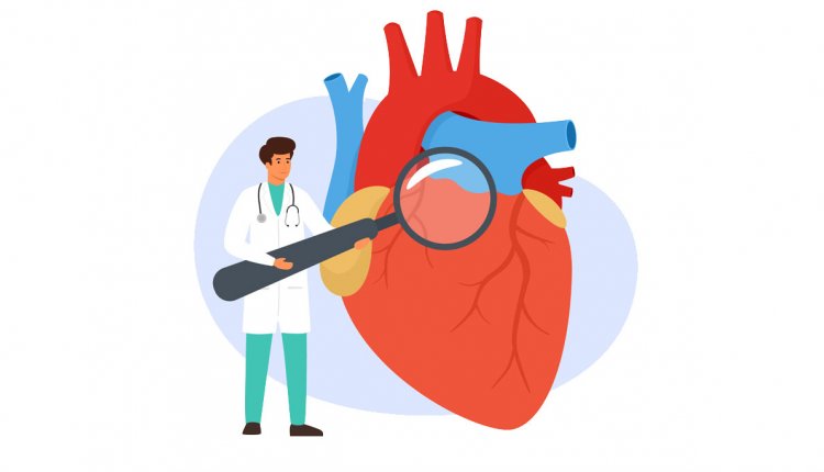 Illustratie van een arts die een menselijk hart controleert