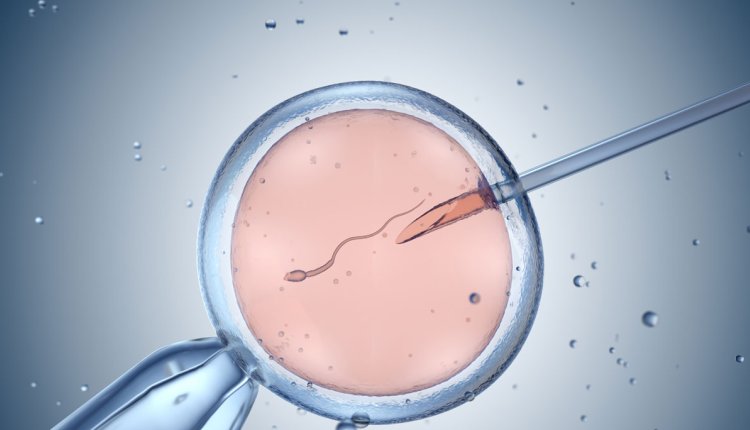 In vitro fertilisatie (IVF)