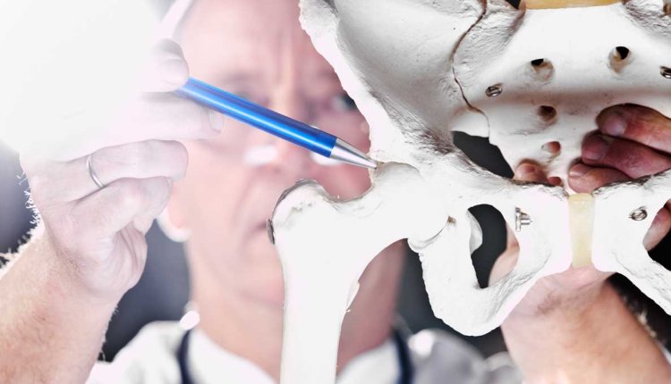 dokter geeft uitleg over heupen