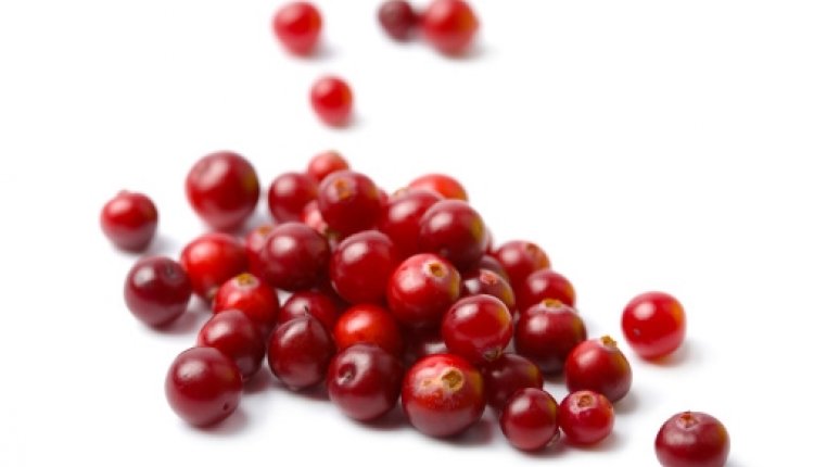 Cranberry