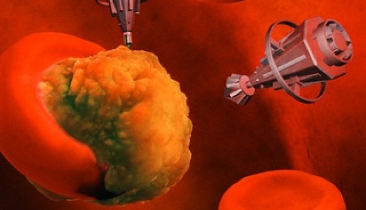 Nanotechnologie bacterie