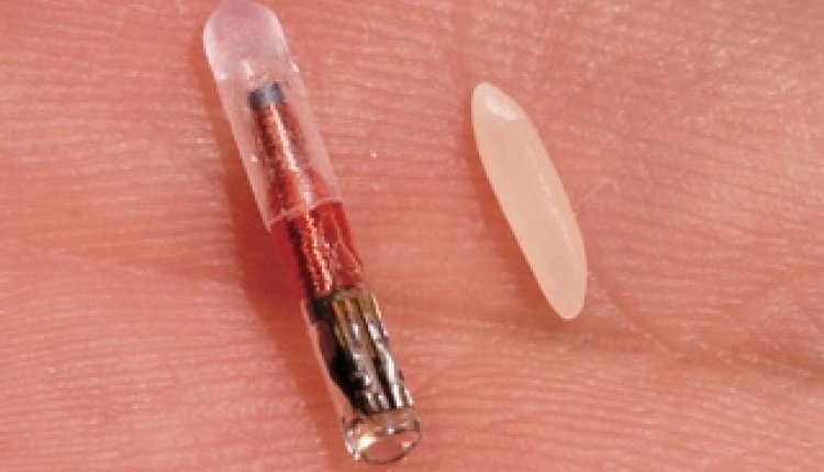 Rfid