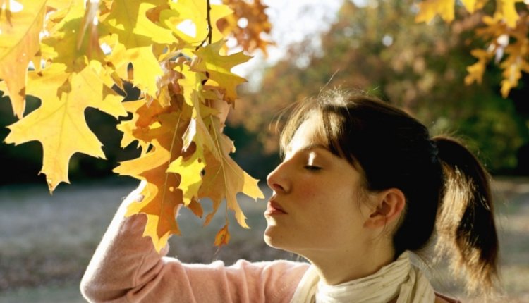 Herfstgeur