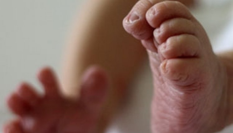 Baby-voet