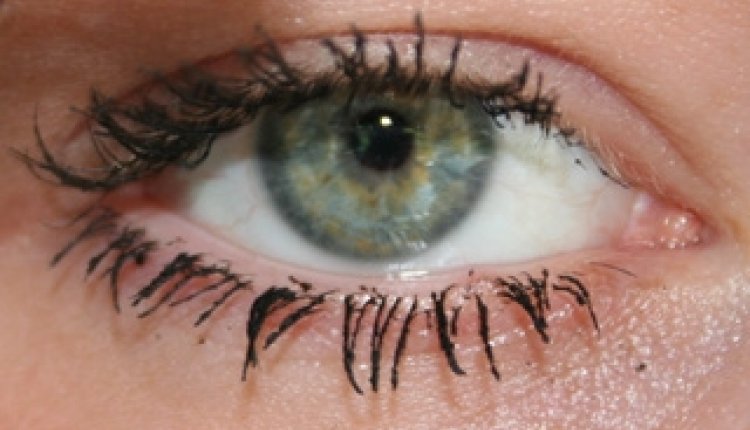 Oog