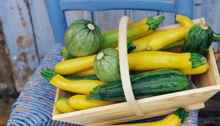Courgettes