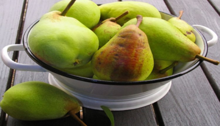 Recept 107 (peren)
