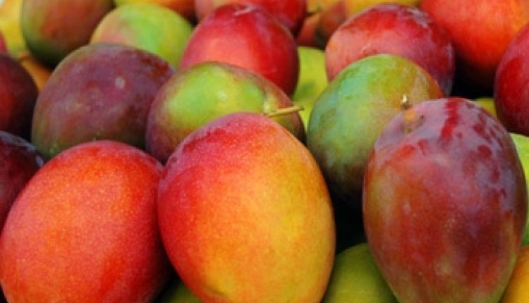 Recept 115 (mango)
