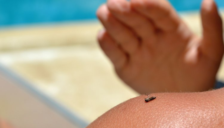 Vrouw slaapt onder klamboe