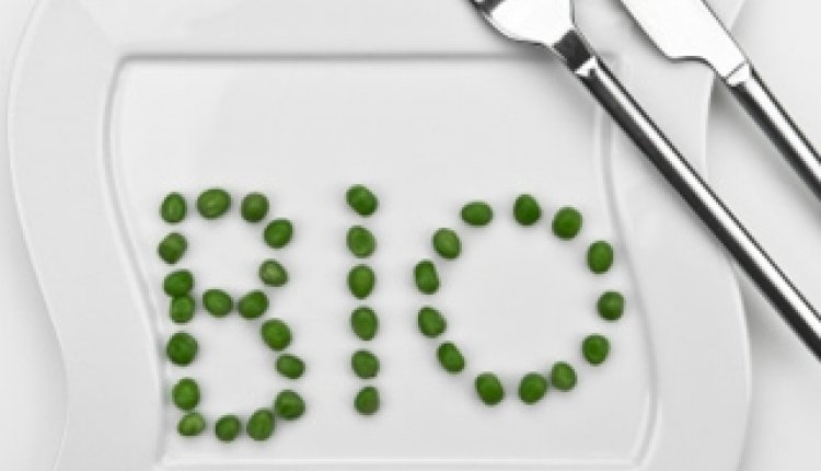 Bio