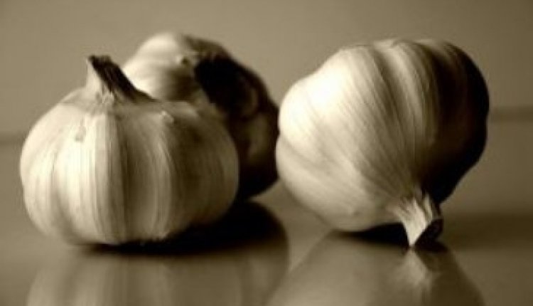 Knoflook