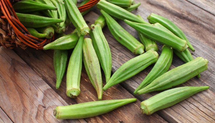 Okra