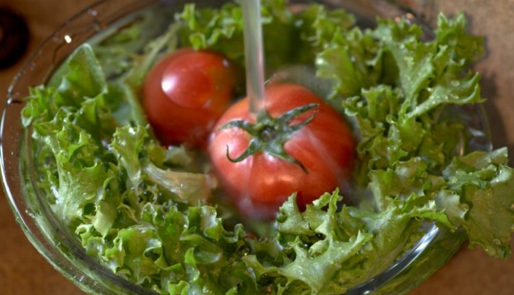 Saladewassen
