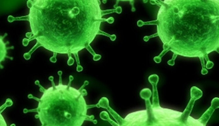 Virus