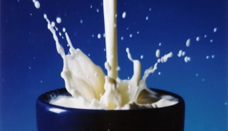 Melkallergie