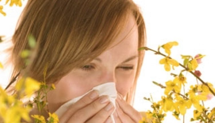 Pollenallergie