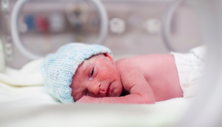 Baby in couveuse