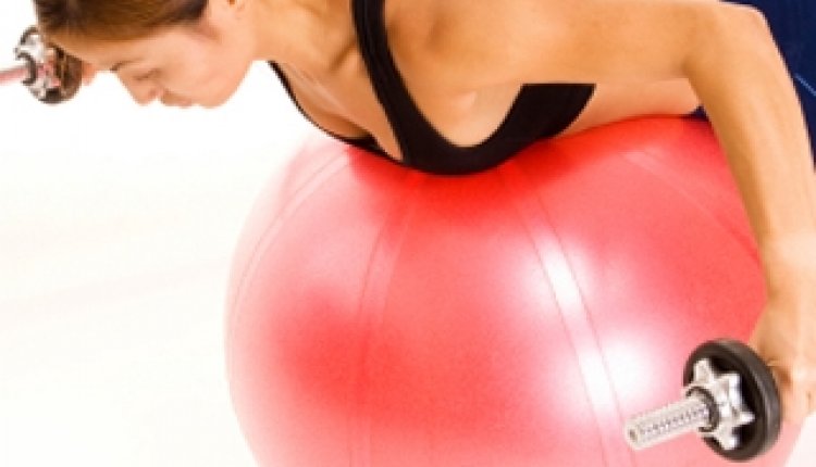 Trainen rug