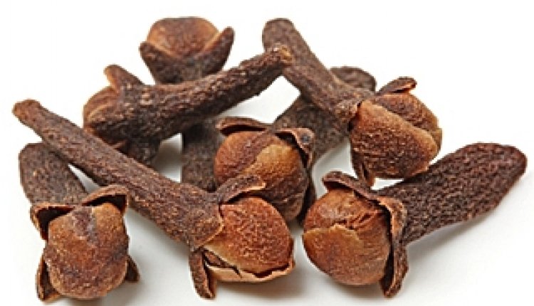Kruidnagel