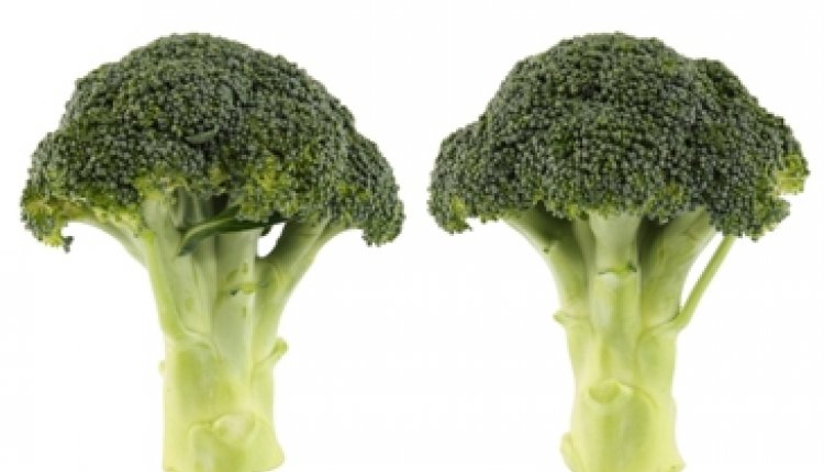 Broccoli