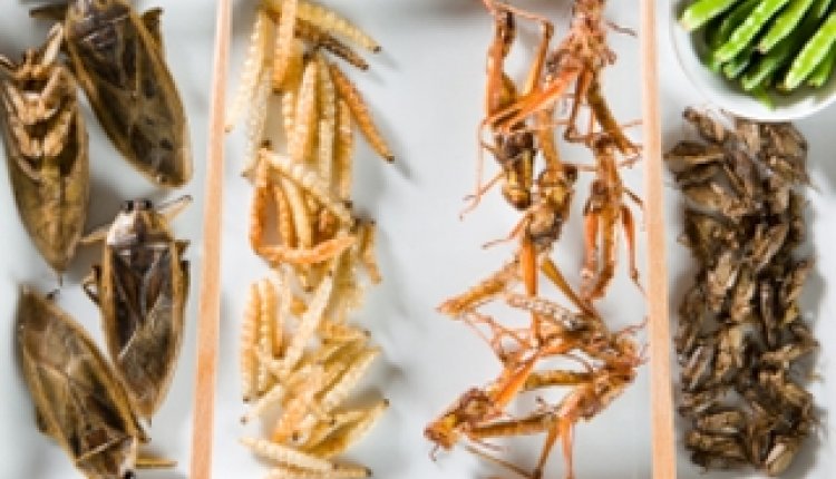 Gefrituurde insecten