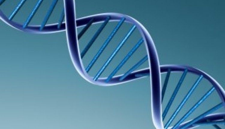 Dna