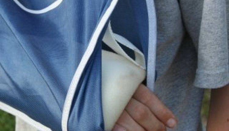 Gips mitella