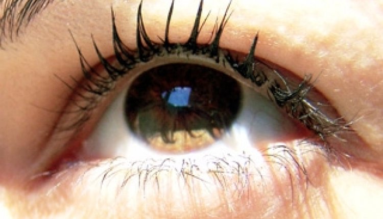 Lente-oog