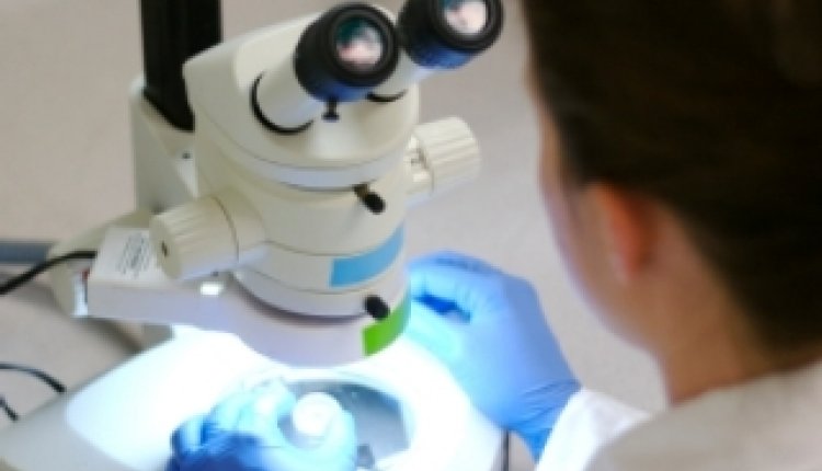 Microscoop