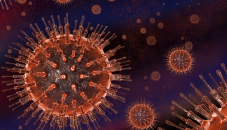 Virus1