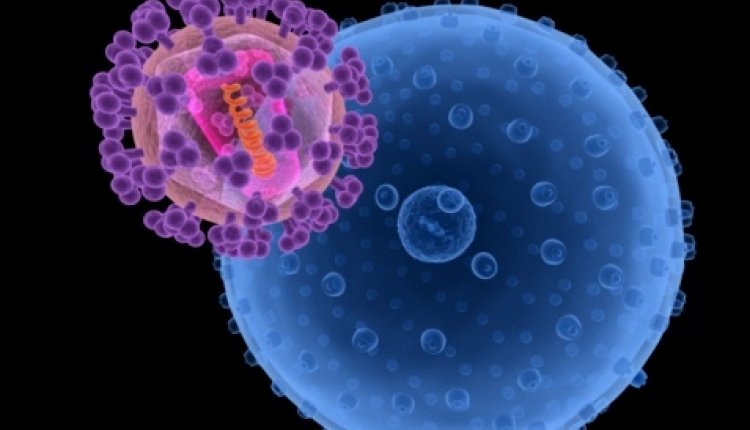 Virus3