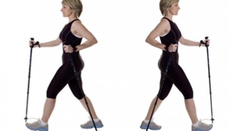 Bodywatch nordic