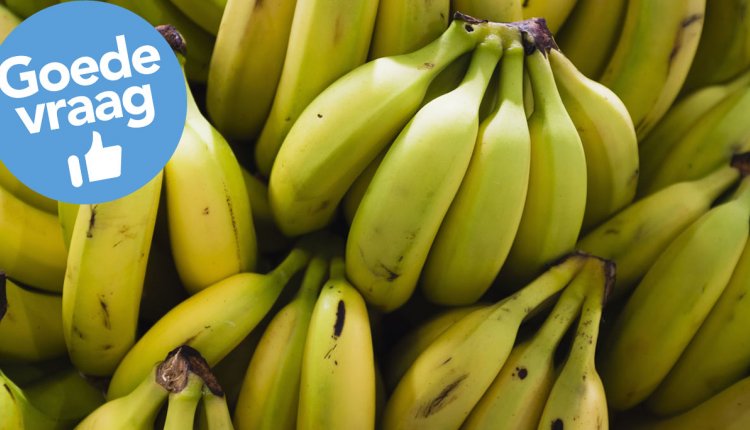 bananen-gn