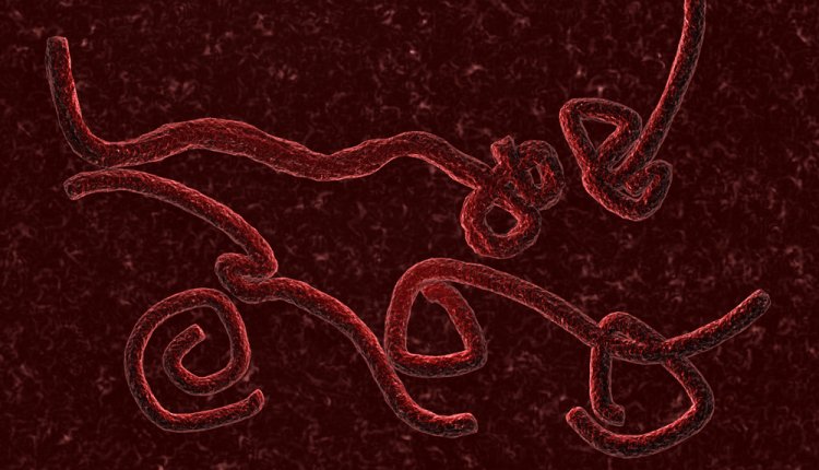 Ebola Ebola