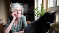 broze bejaarde staart uit het raam