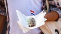 hollandse nieuwe in hand