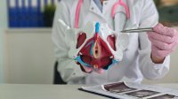 dokter wijst bekkenbodem aan
