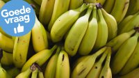 bananen-gn