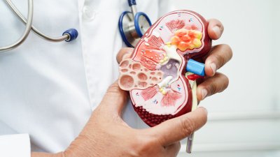 Hoe ontstaat nierschade? (en hoe voorkom je het?)