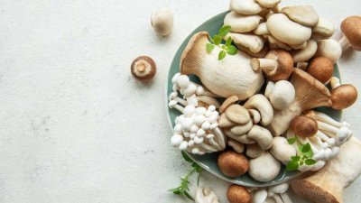 De top 13 lekkerste paddenstoelen