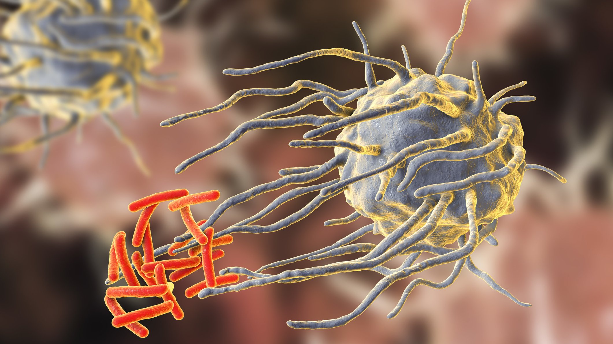 Wat is het verschil tussen een bacterie en een virus? | Gezondheidsnet
