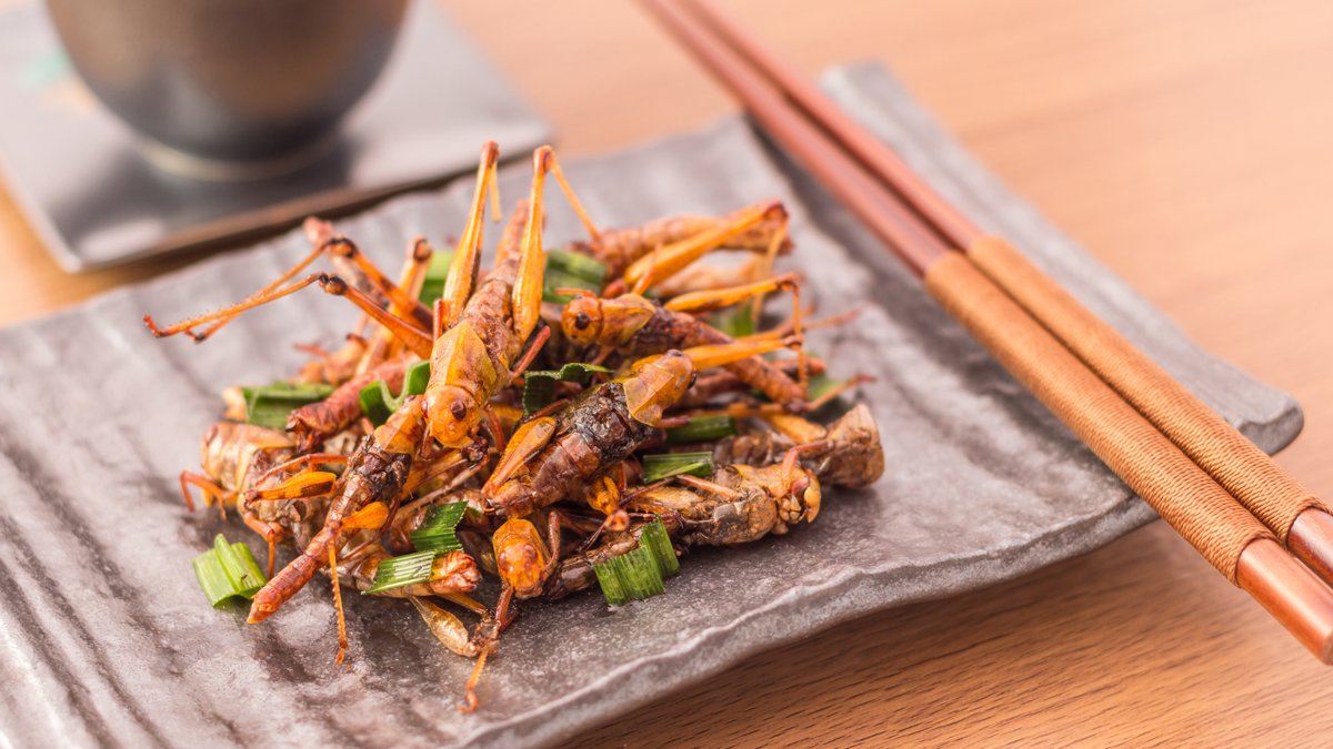 Insecten eten duurzaam én lekker? Insecten eten duurzaam én lekker?