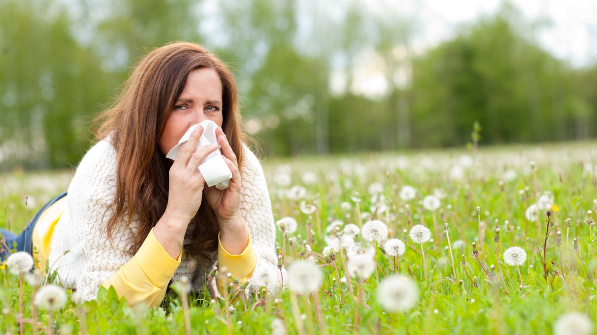 filter geboren Offer Feiten en fabels over hooikoorts | Gezondheidsnet