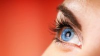 Oog