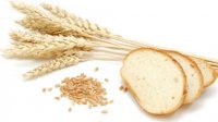 Graan brood