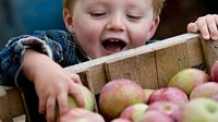 Jongetje appels