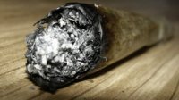 Joint-wiet