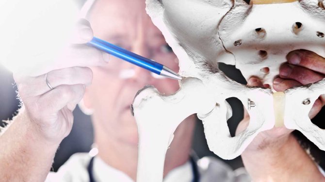 dokter geeft uitleg over heupen